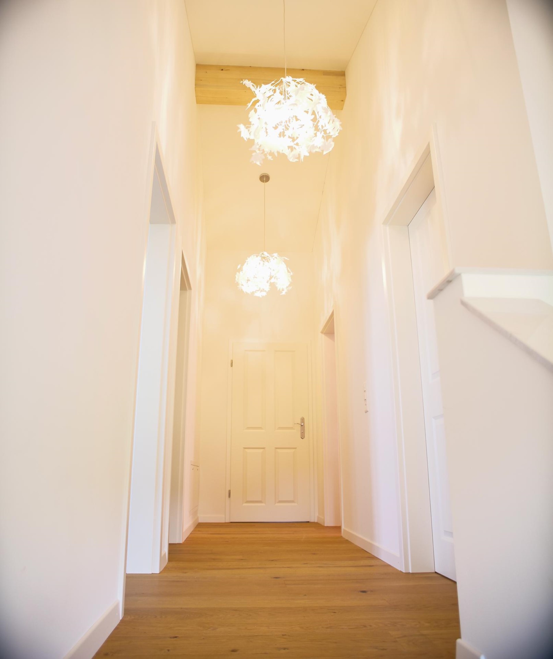 Gallery Item 41